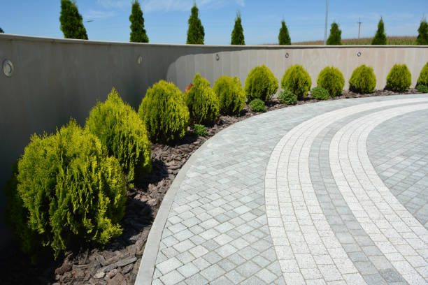 Best Driveway Resurfacing Pavers  in San Carlos, TX